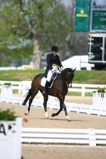 Dressage is one of the three events that riders compete in to win a share of $250,000 in prize money.
