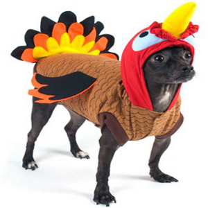 Dog-Thanksgiving-Costume-Turkey
